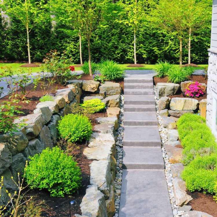 أعمال تنسيق حدائق وزراعة أشجار وشجيرات