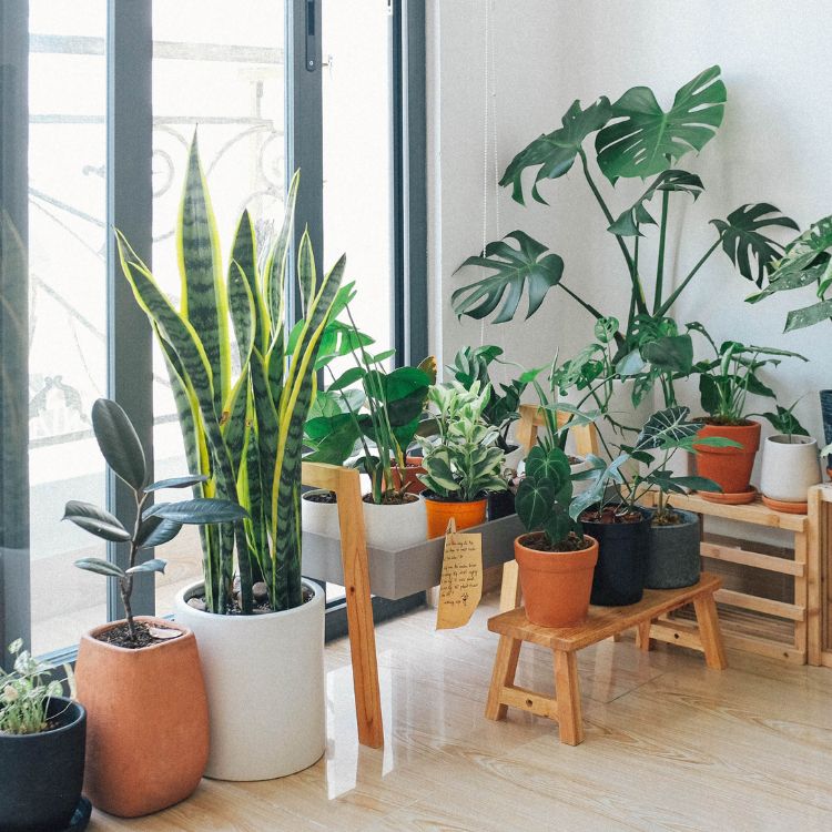 تصميم حديقة حديثة وفسيحة في الرياض