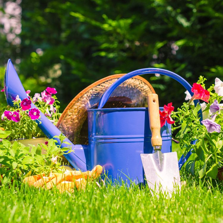 أعمال تنسيق حدائق وزراعة أشجار وشجيرات