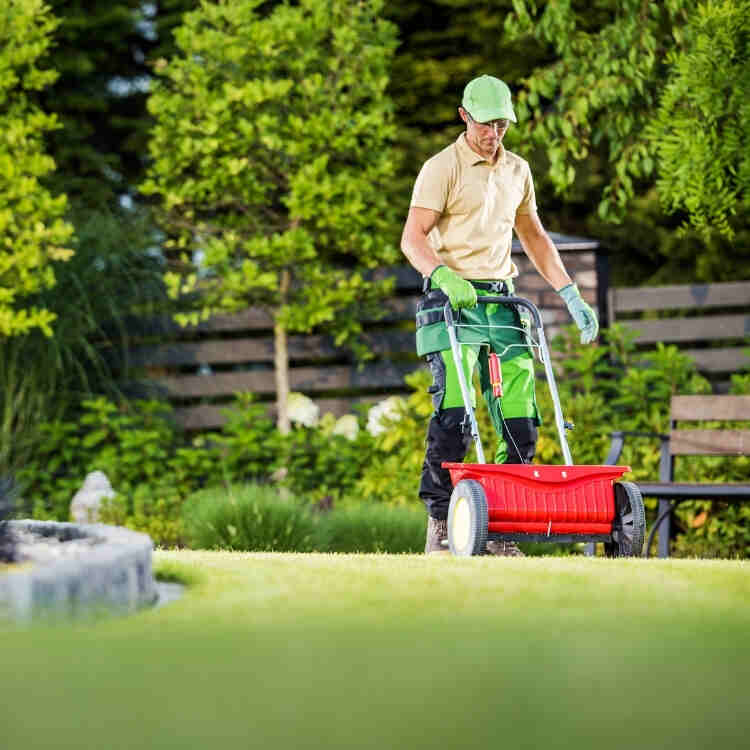 تحسين الفناء الأمامي من خلال أفضل خدمات تنسيق الحدائق