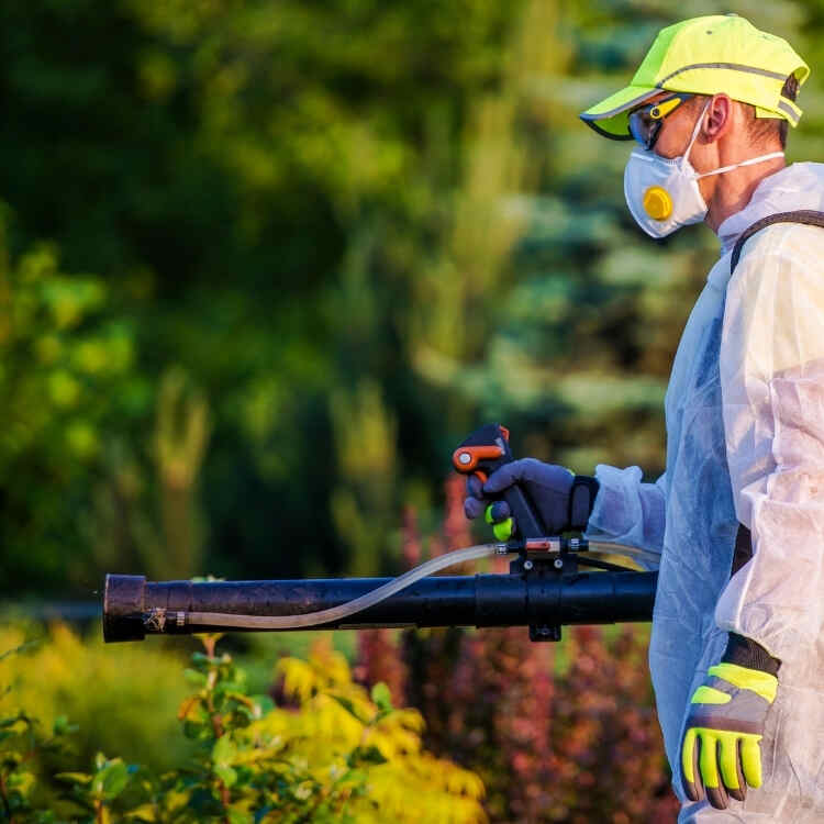 تركيب أفضل نظام تبريد بالضباب لراحة الفناء الخلفي