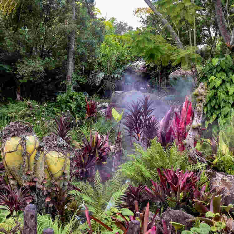 أفضل نظام تبريد بالضباب لتقليل حرارة المساحات الخارجية