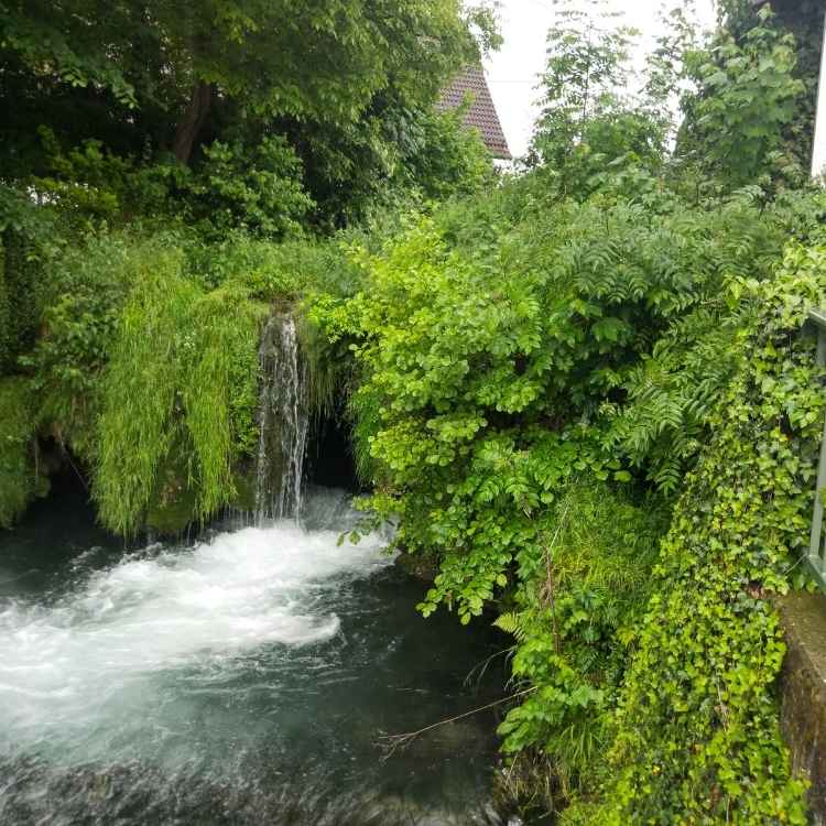 المسطحات المائية الخارجية بالرياض