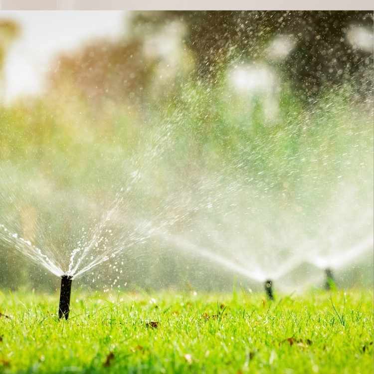 خدمات إثراء التربة بالرياض