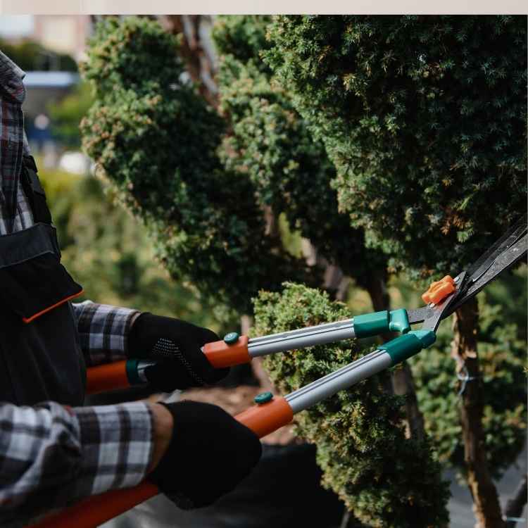 أدوات صيانة المروج في الرياض