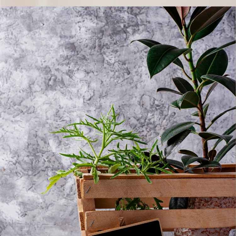 نباتات اصطناعية للزينة الرياض